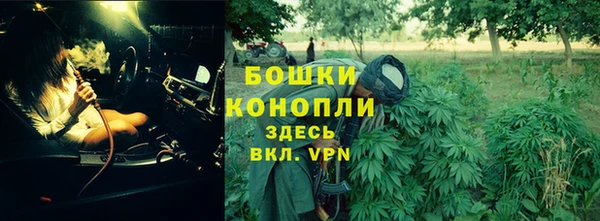 молекула духа Остров